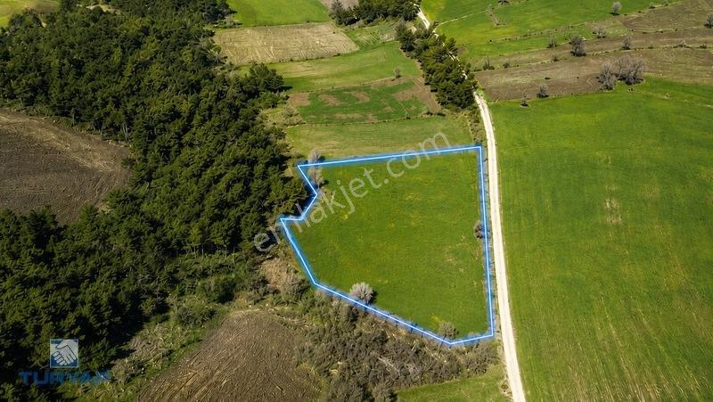 Çanakkale Lapseki Beybaş Köyü'nde 7.151m² Yatırımlık Tarla — fotoğraf 2