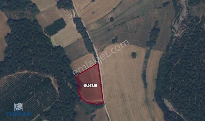 Çanakkale Lapseki Beybaş Köyü'nde 7.151m² Yatırımlık Tarla — fotoğraf 3