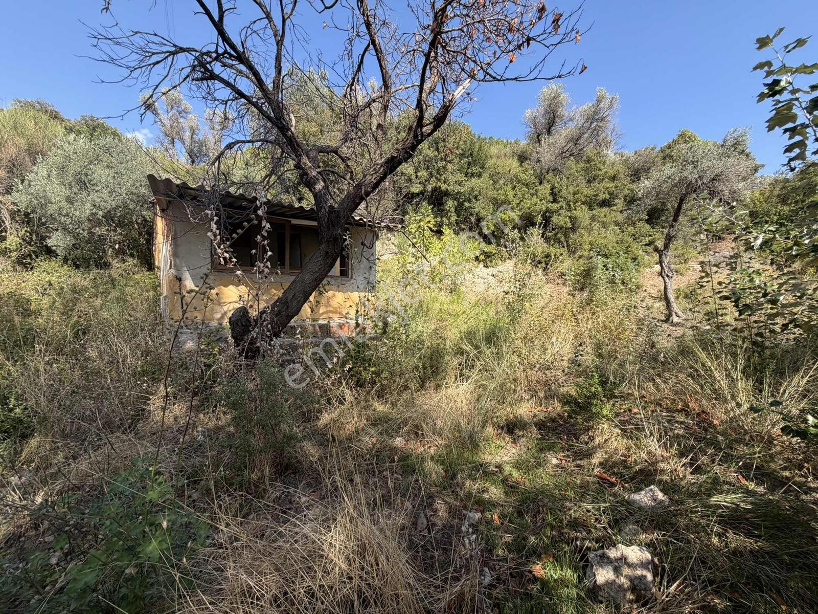 Anbarseki Sasko Mevkinde 1.680 M2 Yapı Kayıt Belgeli Arazi — fotoğraf 2