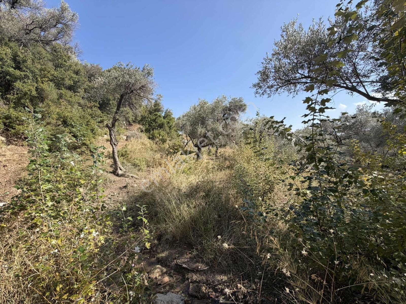 Anbarseki Sasko Mevkinde 1.680 M2 Yapı Kayıt Belgeli Arazi — fotoğraf 3