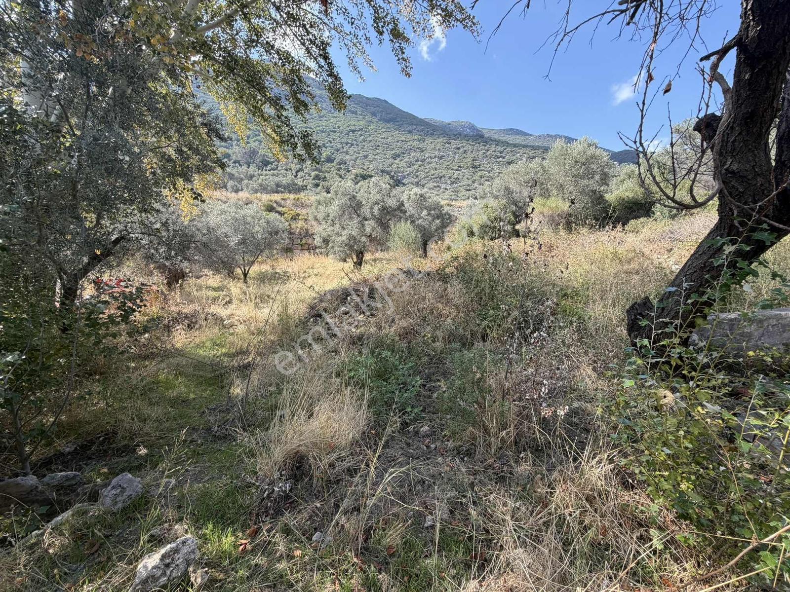 Anbarseki Sasko Mevkinde 1.680 M2 Yapı Kayıt Belgeli Arazi — fotoğraf 4