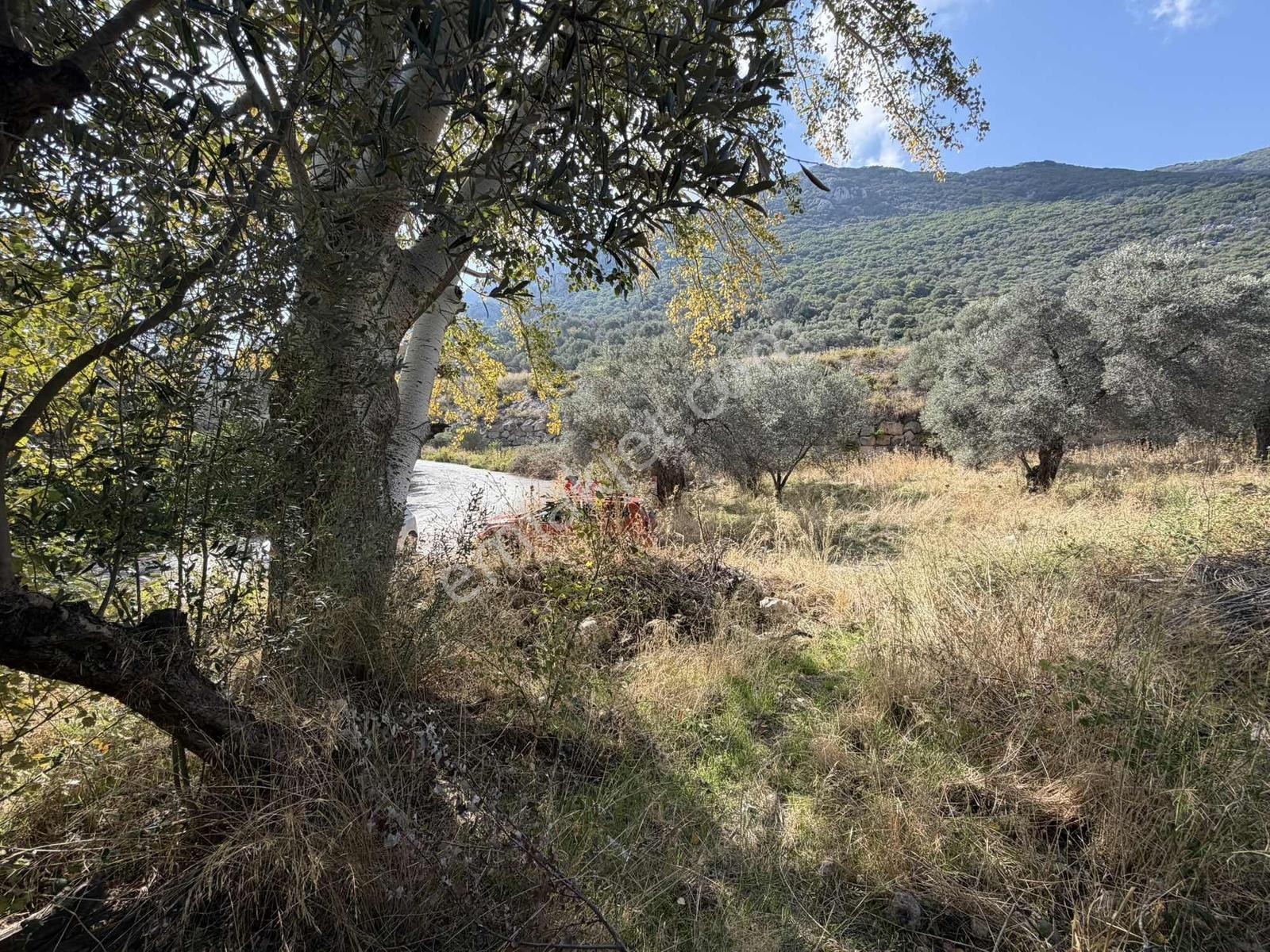 Anbarseki Sasko Mevkinde 1.680 M2 Yapı Kayıt Belgeli Arazi — fotoğraf 5