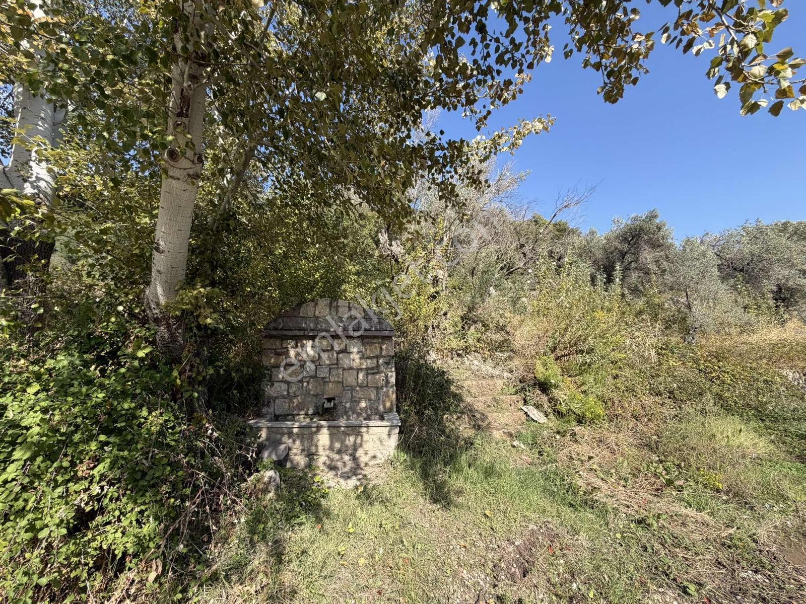 Anbarseki Sasko Mevkinde 1.680 M2 Yapı Kayıt Belgeli Arazi — fotoğraf 7