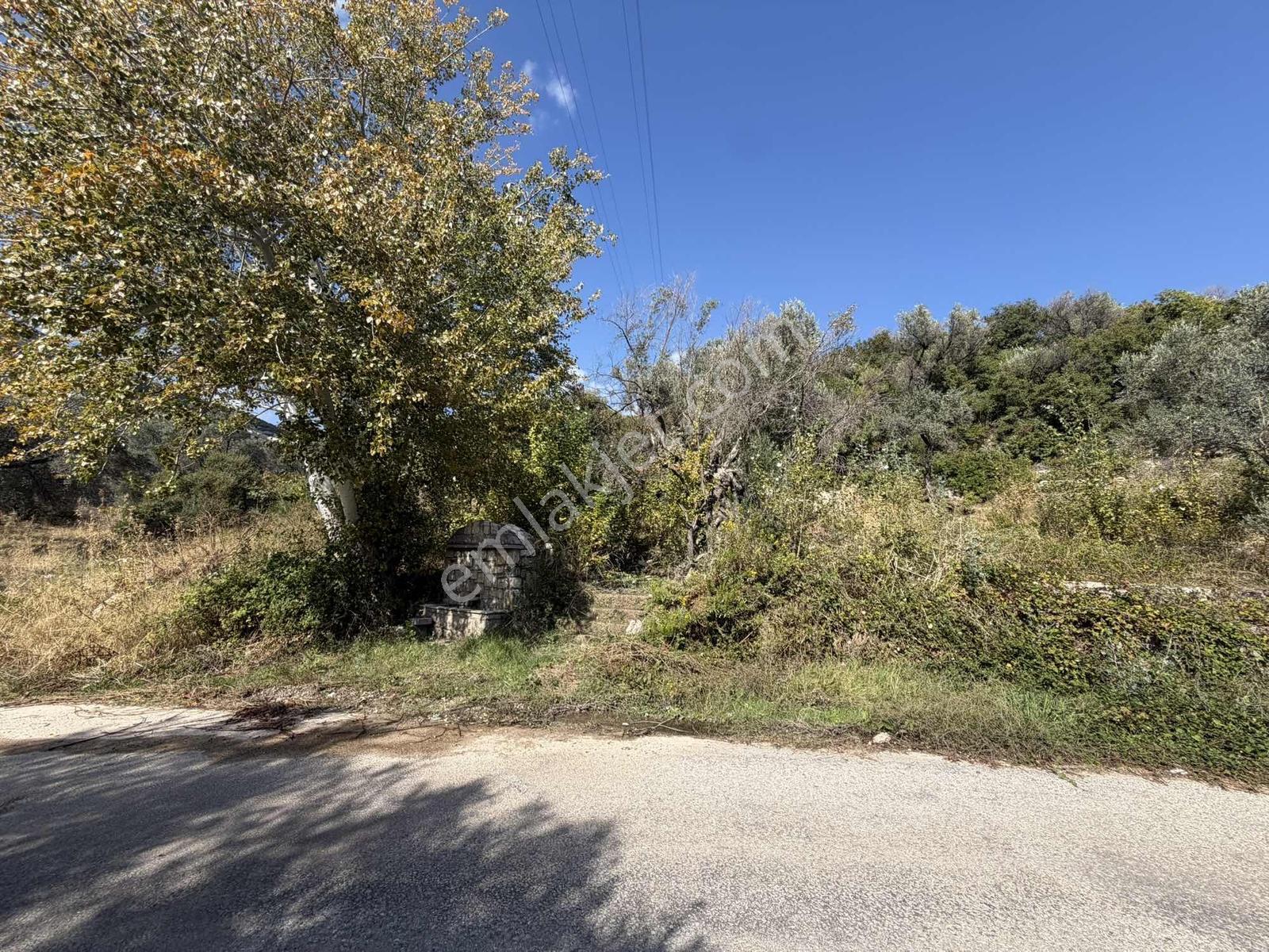 Anbarseki Sasko Mevkinde 1.680 M2 Yapı Kayıt Belgeli Arazi — fotoğraf 9