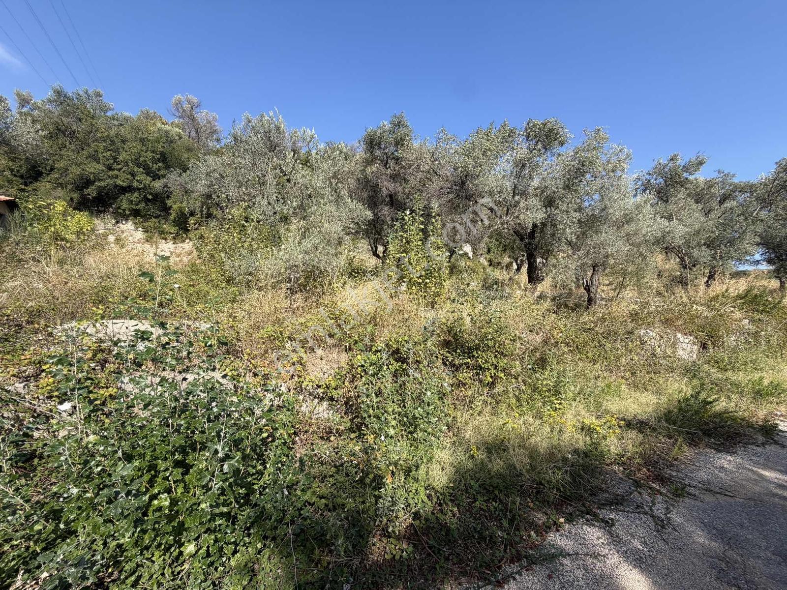 Anbarseki Sasko Mevkinde 1.680 M2 Yapı Kayıt Belgeli Arazi — fotoğraf 11