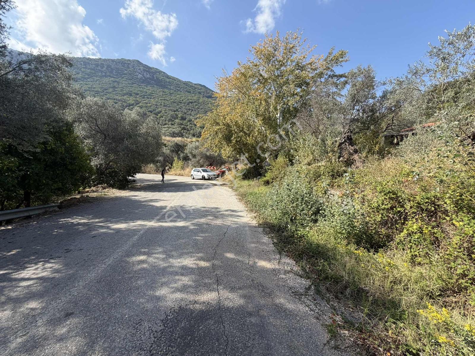 Anbarseki Sasko Mevkinde 1.680 M2 Yapı Kayıt Belgeli Arazi — fotoğraf 15