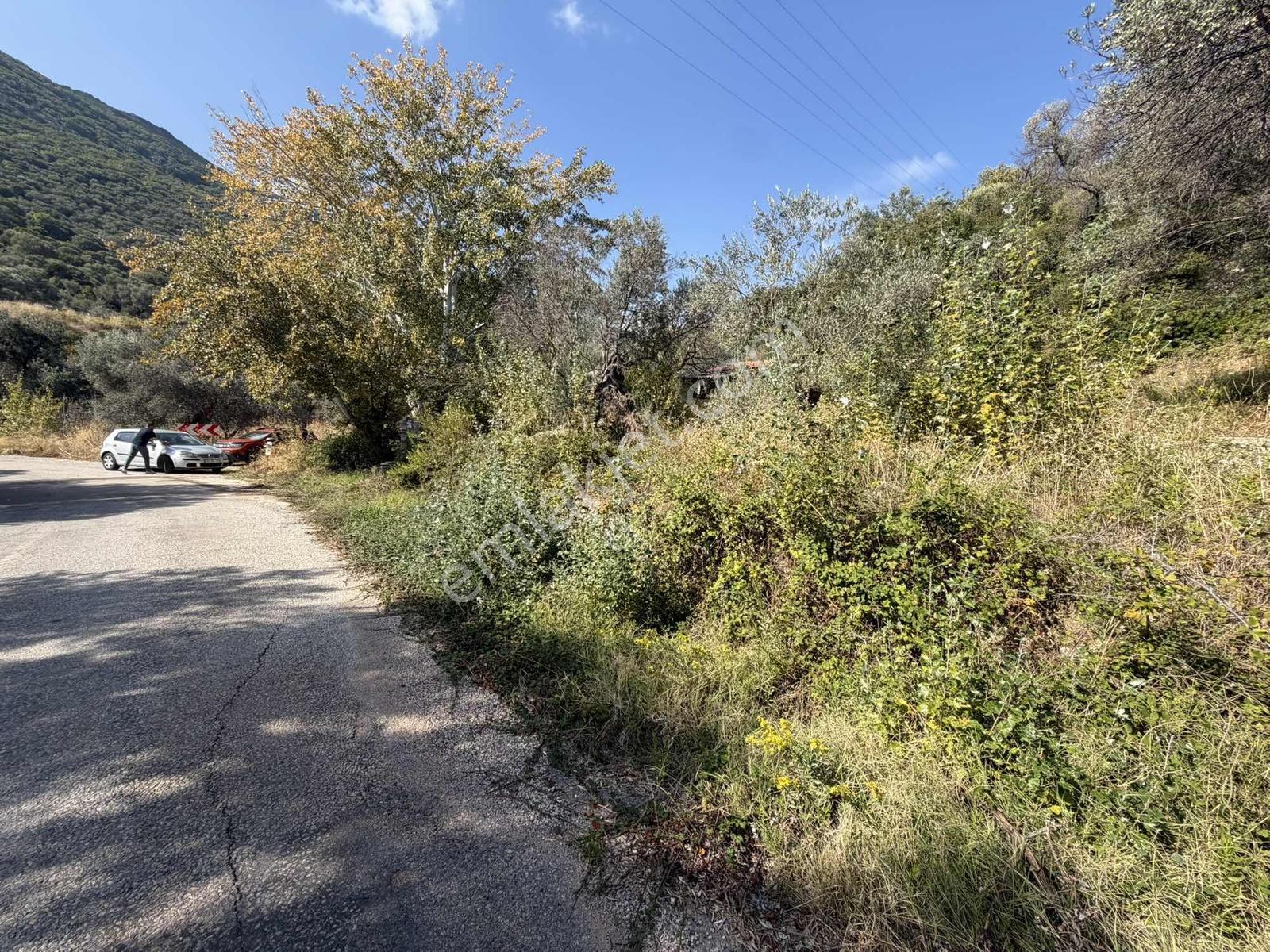 Anbarseki Sasko Mevkinde 1.680 M2 Yapı Kayıt Belgeli Arazi — fotoğraf 16