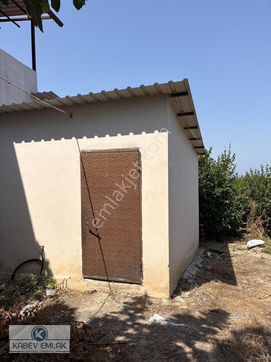 🌿arsuz Hacıahmetli De 4 Dönüm Satılık Bahçe‼️🍋 — fotoğraf 7
