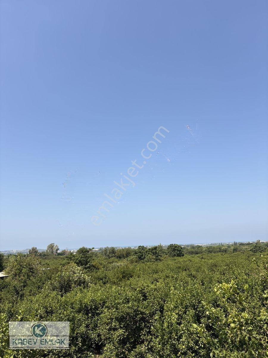 🌿arsuz Hacıahmetli De 4 Dönüm Satılık Bahçe‼️🍋 — fotoğraf 8