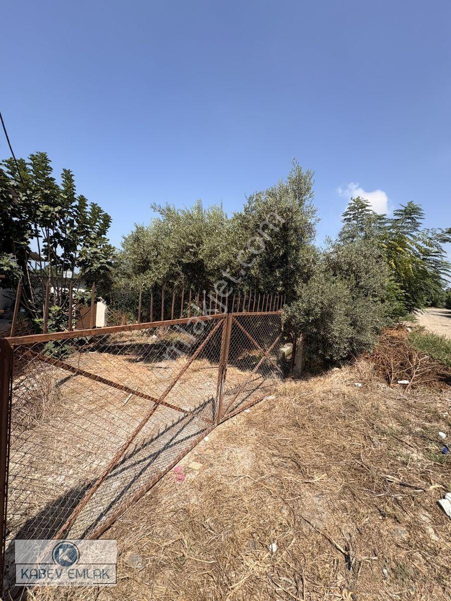 🌿arsuz Hacıahmetli De 4 Dönüm Satılık Bahçe‼️🍋 — fotoğraf 10