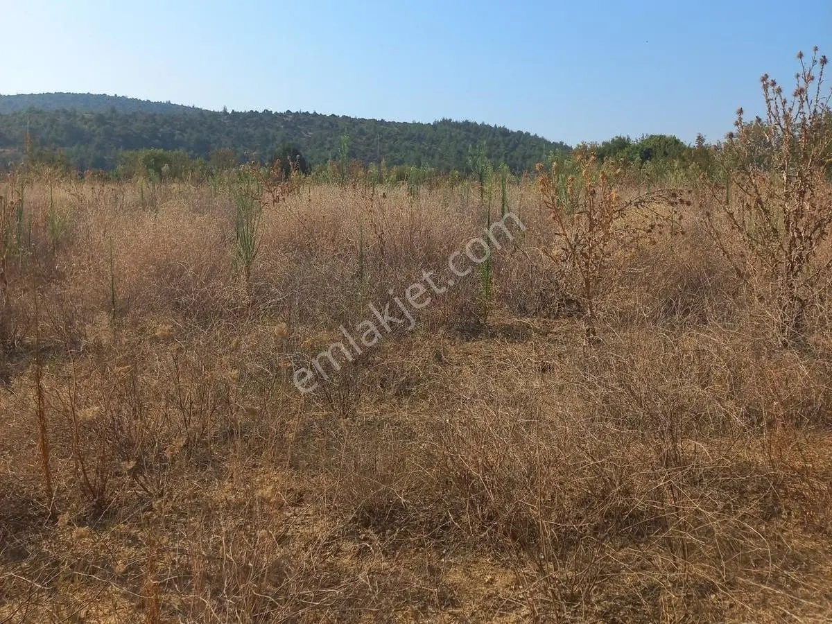 Bilecik Söğüt Geçitli'de 6700 M² Doğa Manzaralı Satılık Bağ — fotoğraf 2