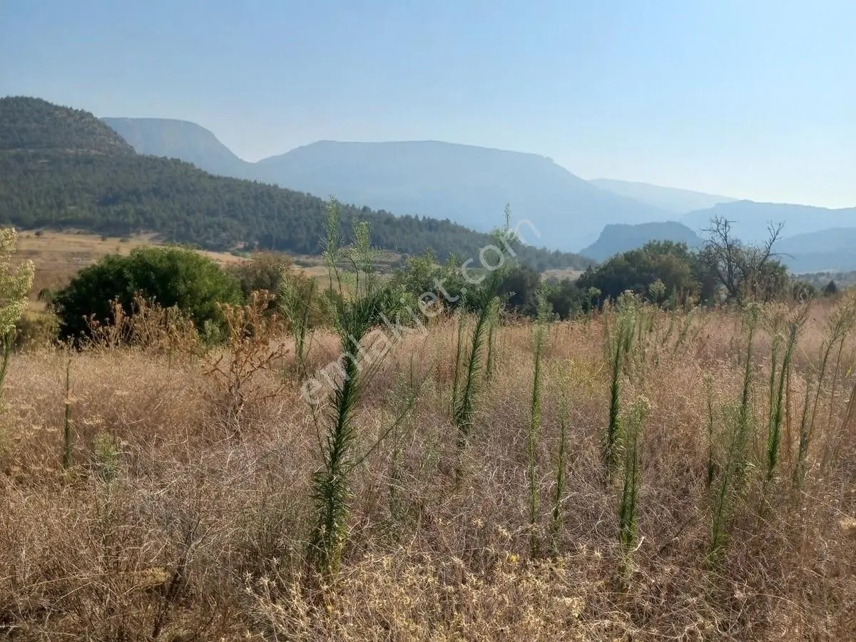Bilecik Söğüt Geçitli'de 6700 M² Doğa Manzaralı Satılık Bağ — fotoğraf 3
