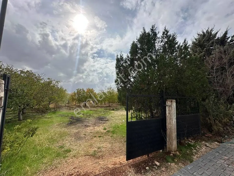 Repa Gayrimenkul Emin Darıcıoğlu Sarıbaşak Mah. Satılık Bağevi! — fotoğraf 3