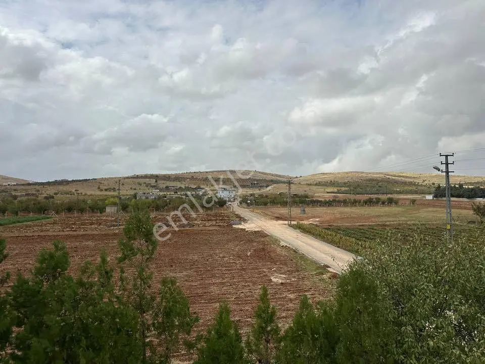 Repa Gayrimenkul Emin Darıcıoğlu Sarıbaşak Mah. Satılık Bağevi! — fotoğraf 4