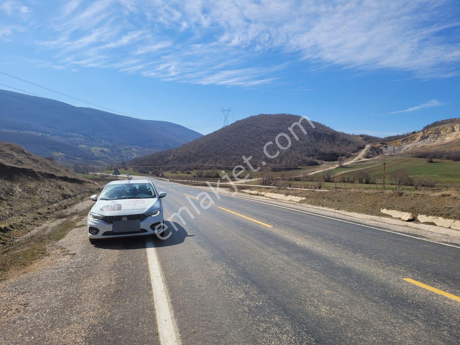 Samsun Ladik'te 2.5 Dönüm Satılık Tarla — fotoğraf 9