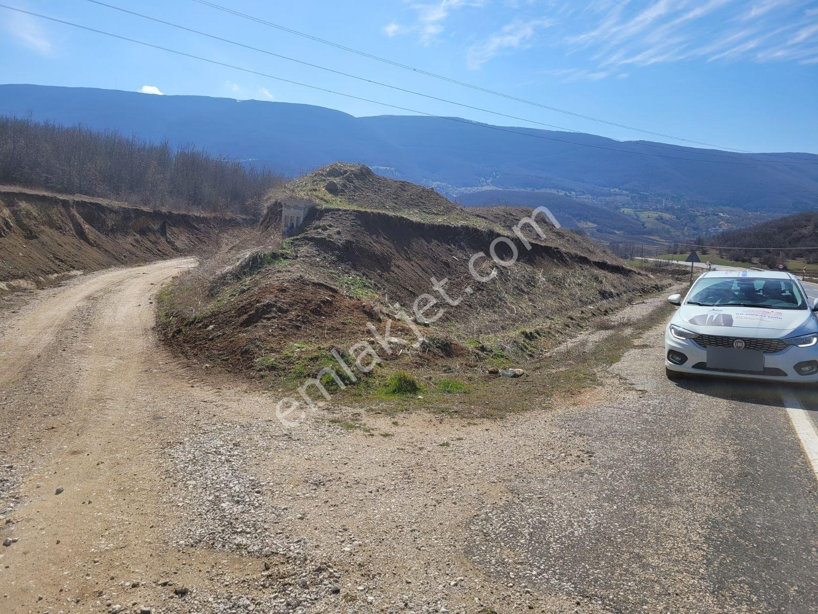 Samsun Ladik'te 2.5 Dönüm Satılık Tarla — fotoğraf 10