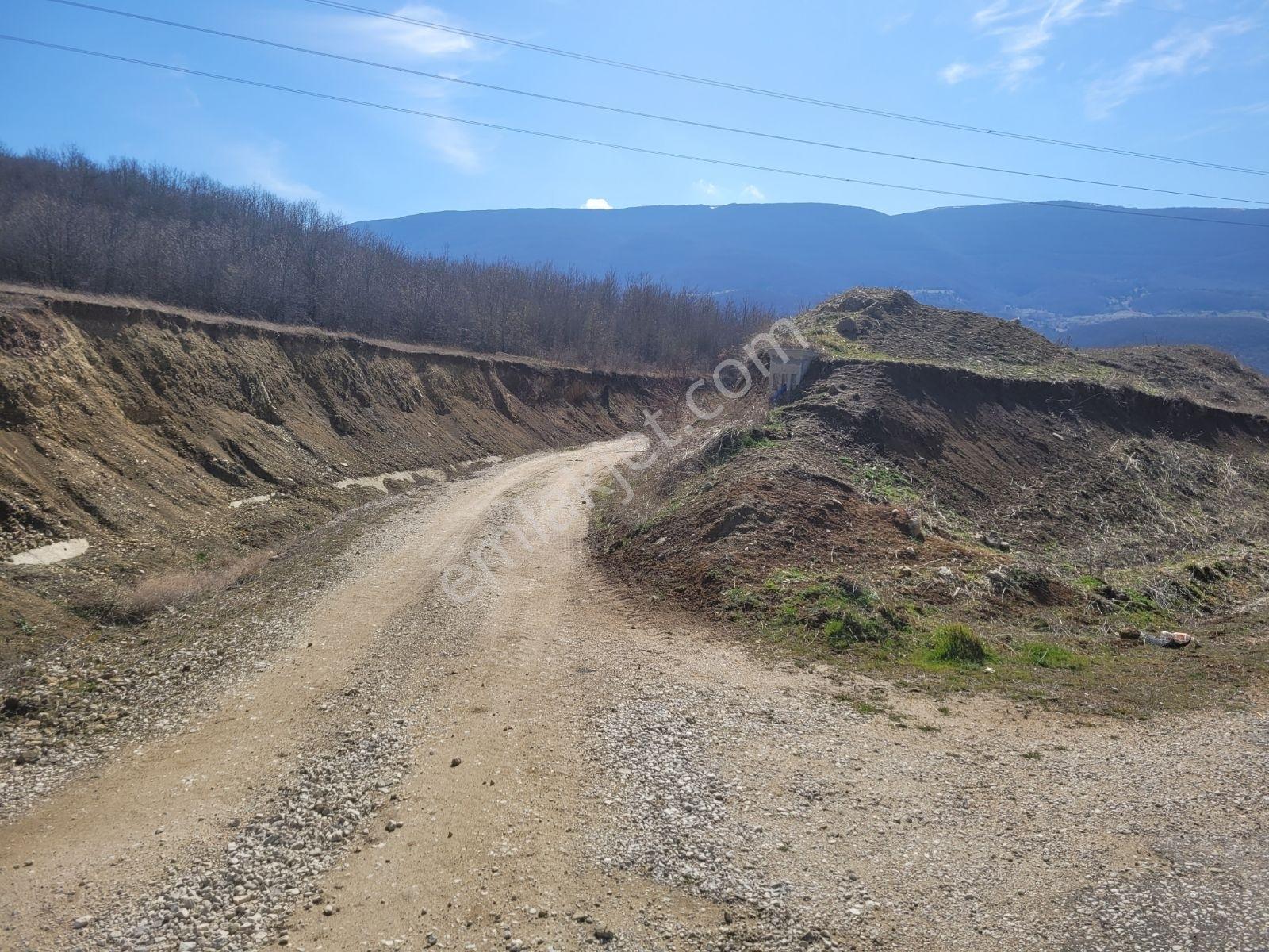 Samsun Ladik'te 2.5 Dönüm Satılık Tarla — fotoğraf 11