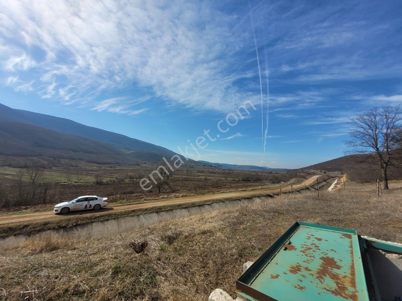 Samsun Ladik'te 2.5 Dönüm Satılık Tarla — fotoğraf 14