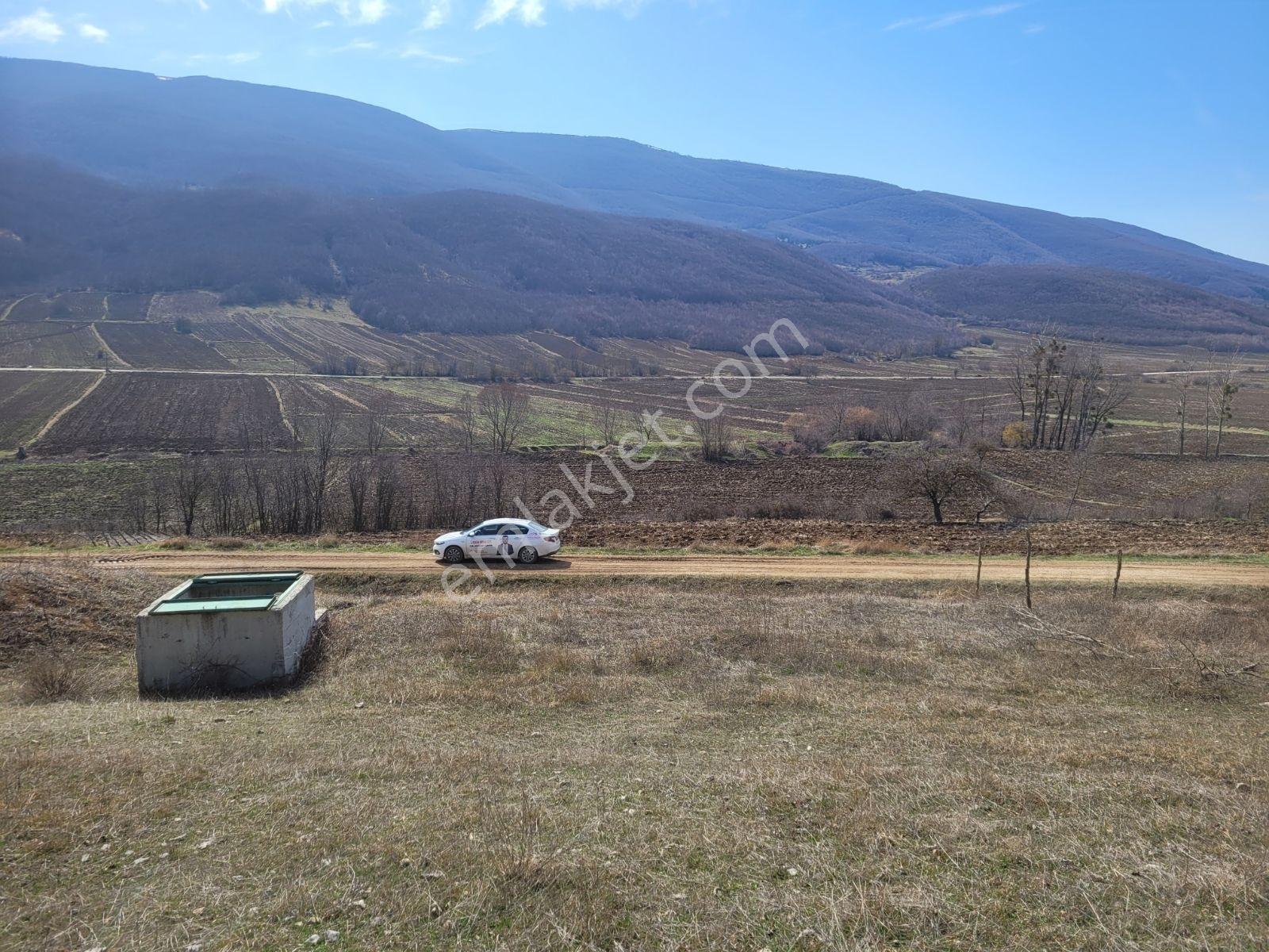 Samsun Ladik'te 2.5 Dönüm Satılık Tarla — fotoğraf 15