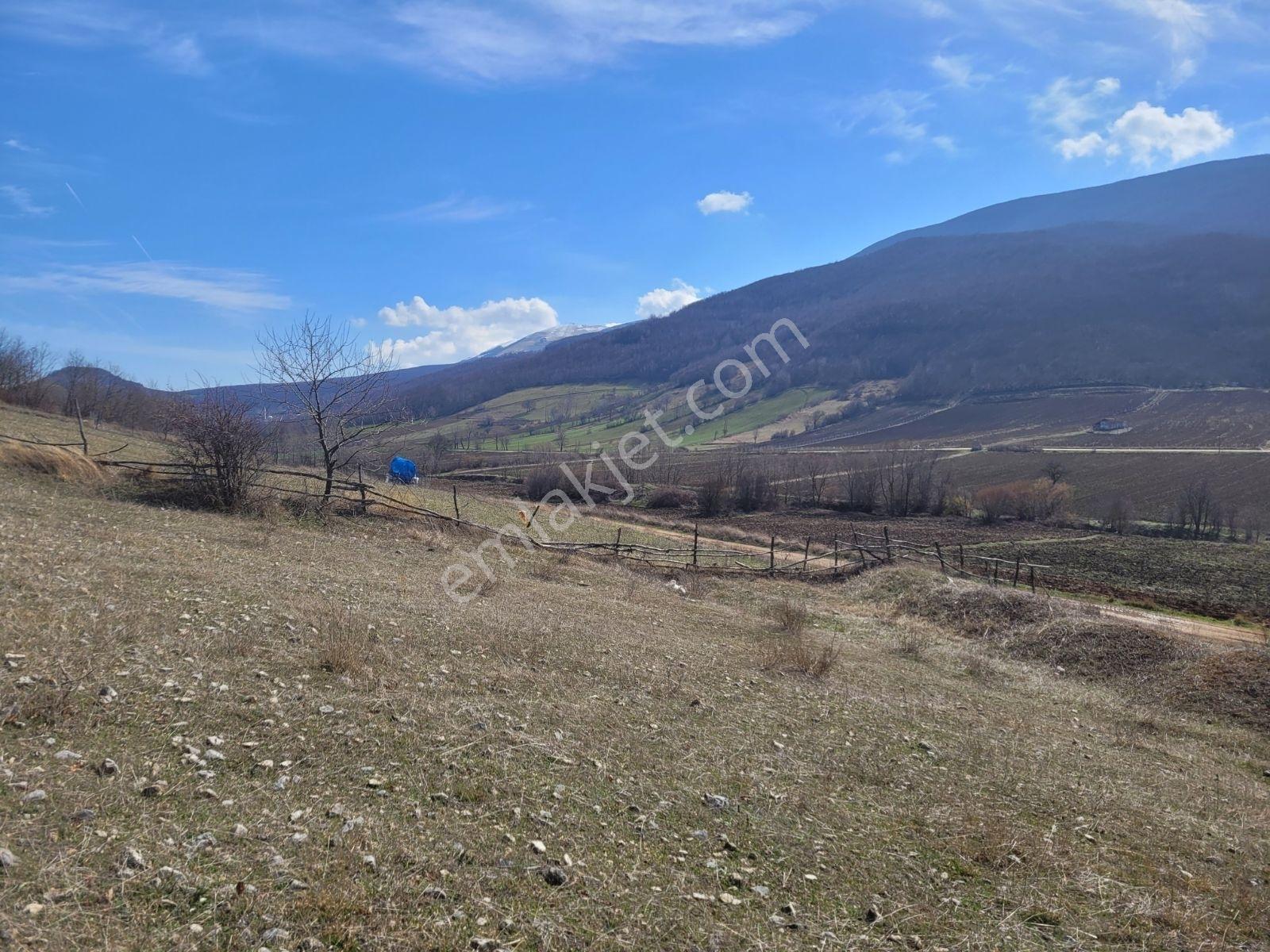 Samsun Ladik'te 2.5 Dönüm Satılık Tarla — fotoğraf 19