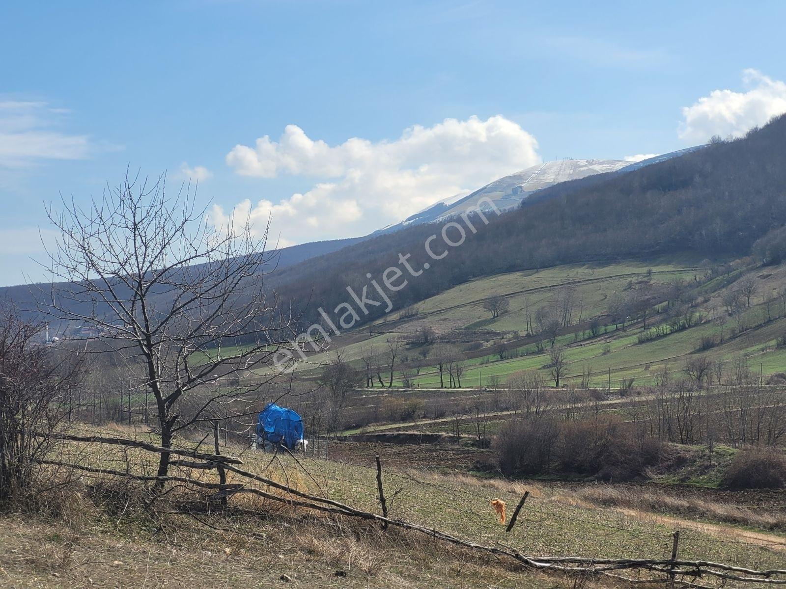 Samsun Ladik'te 2.5 Dönüm Satılık Tarla — fotoğraf 20