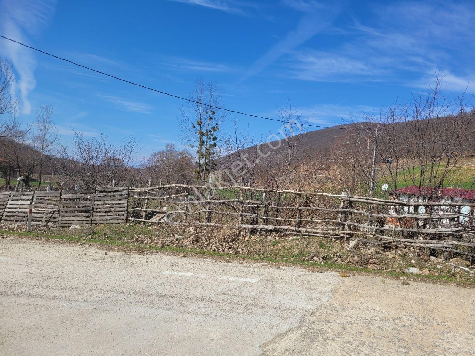 Samsun Ladik'te 2.5 Dönüm Satılık Tarla — fotoğraf 30