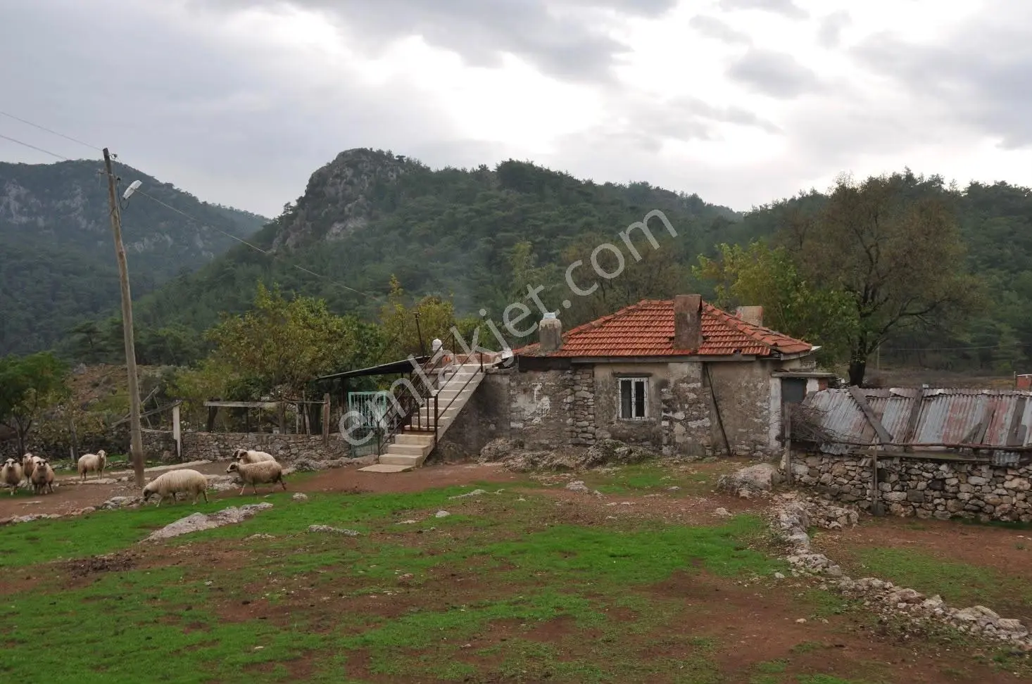 56 Marmarıs Osmanıyede Satılık 2660 M² Tarla
