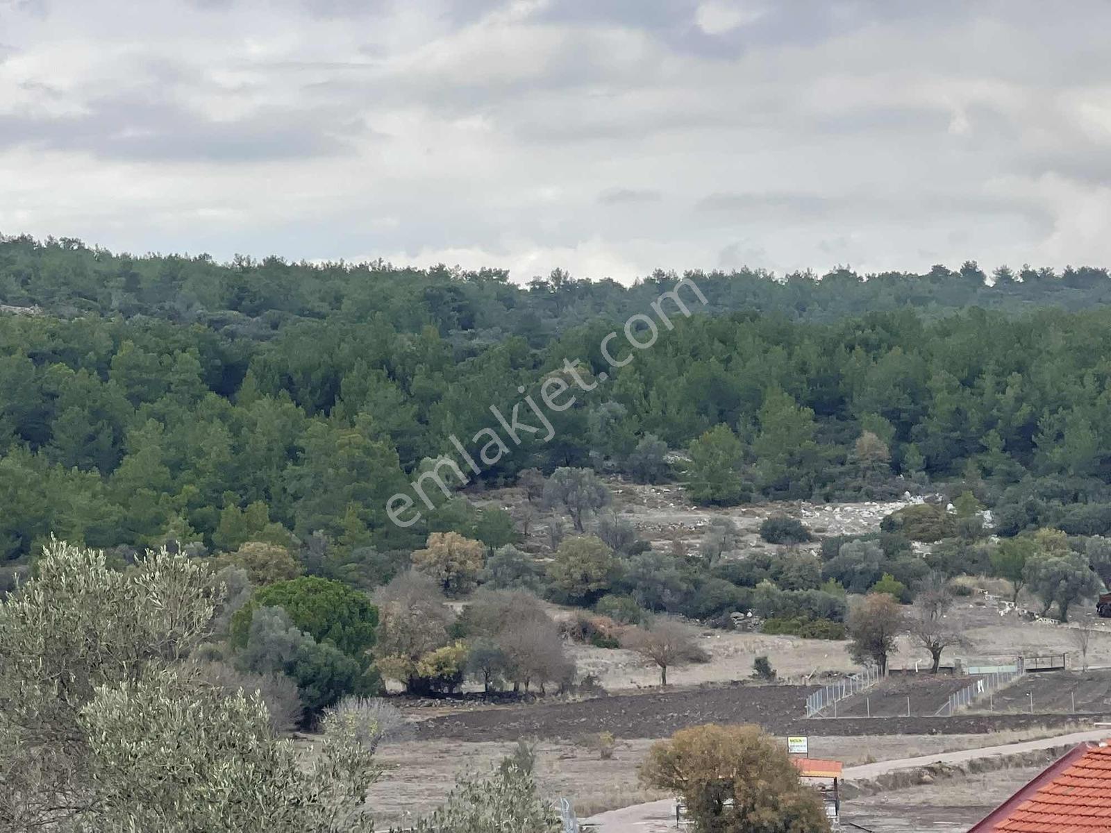 10 Urla Kadıovacık Köyünde 8551 M2 Satılık Tarla — fotoğraf 9