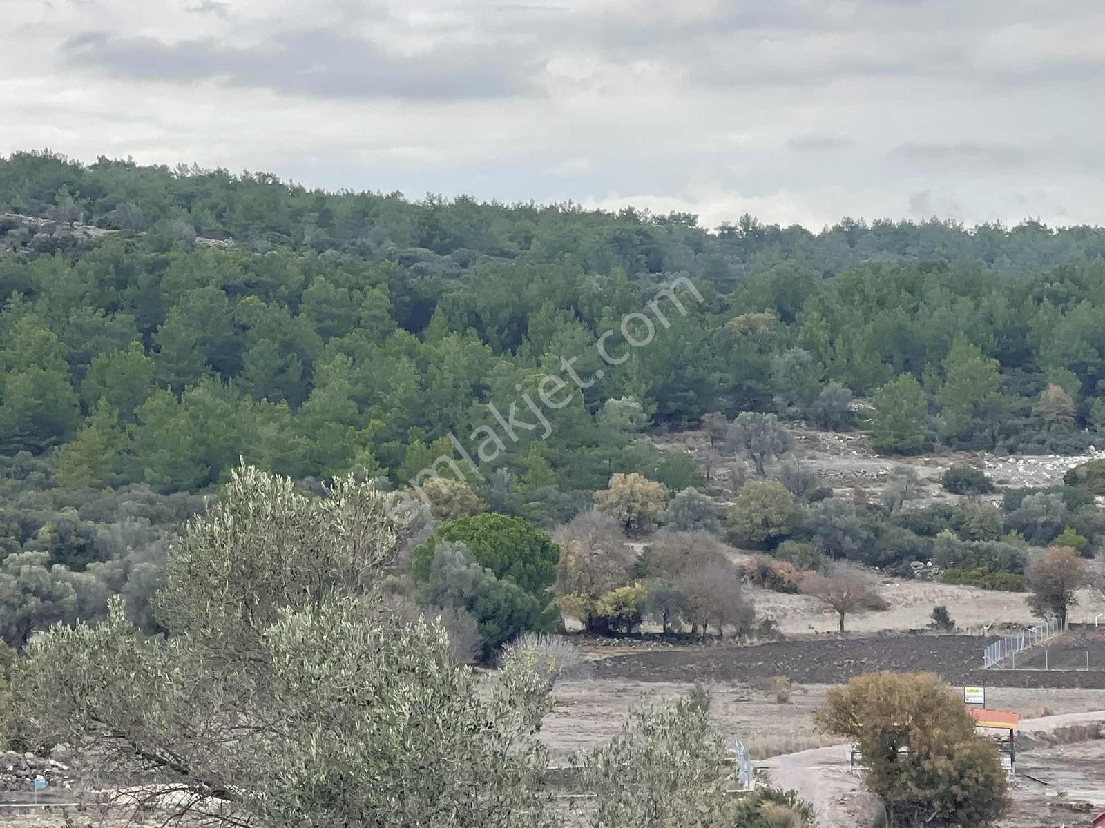 10 Urla Kadıovacık Köyünde 8551 M2 Satılık Tarla — fotoğraf 11