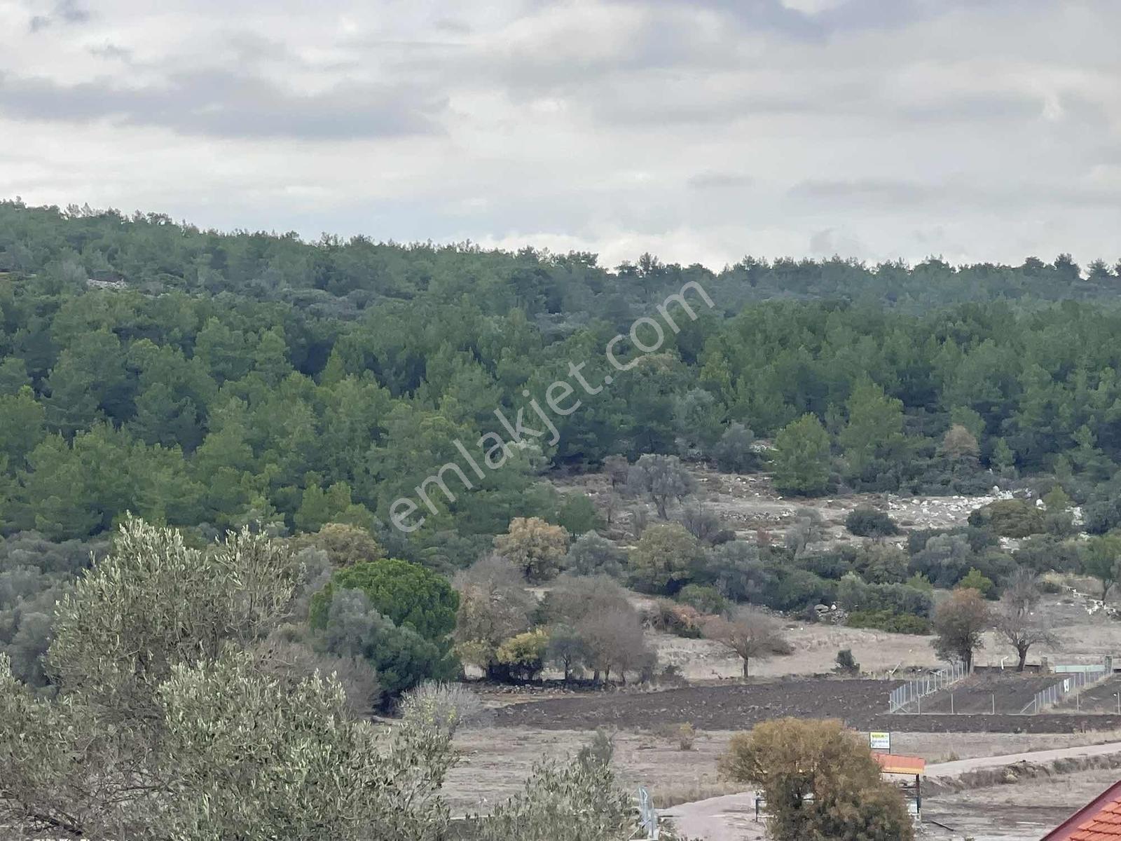 10 Urla Kadıovacık Köyünde 8551 M2 Satılık Tarla — fotoğraf 12
