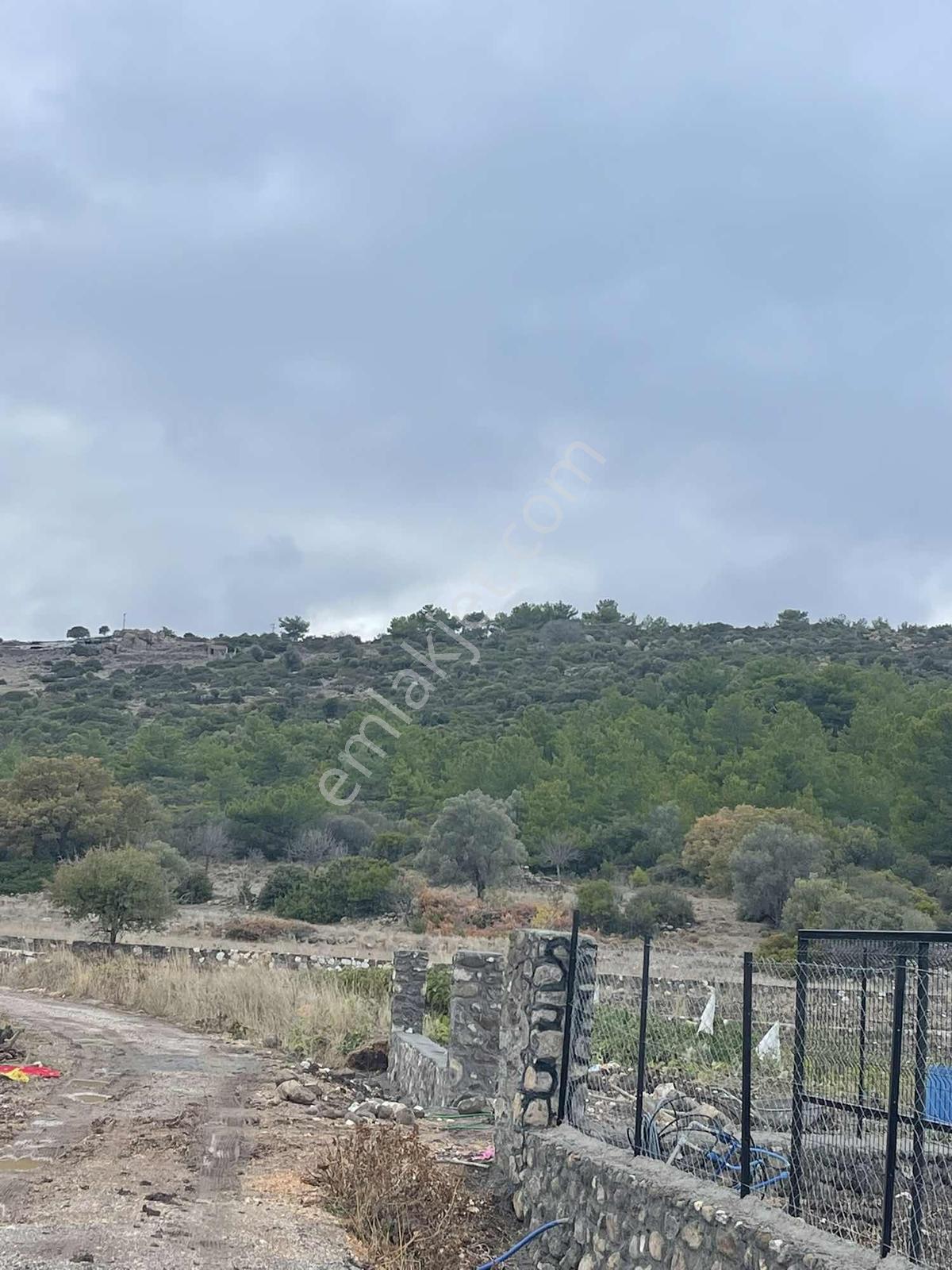 10 Urla Kadıovacık Köyünde 8551 M2 Satılık Tarla — fotoğraf 14