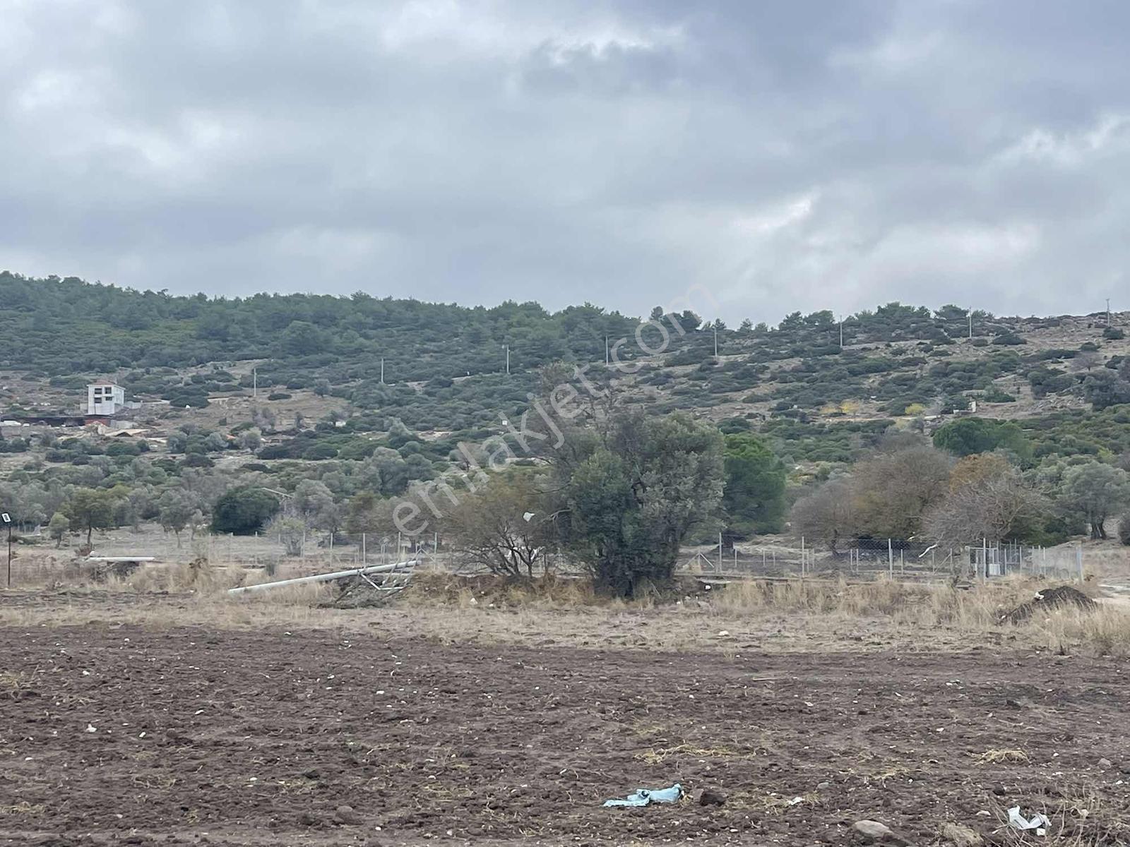 10 Urla Kadıovacık Köyünde 8551 M2 Satılık Tarla — fotoğraf 15