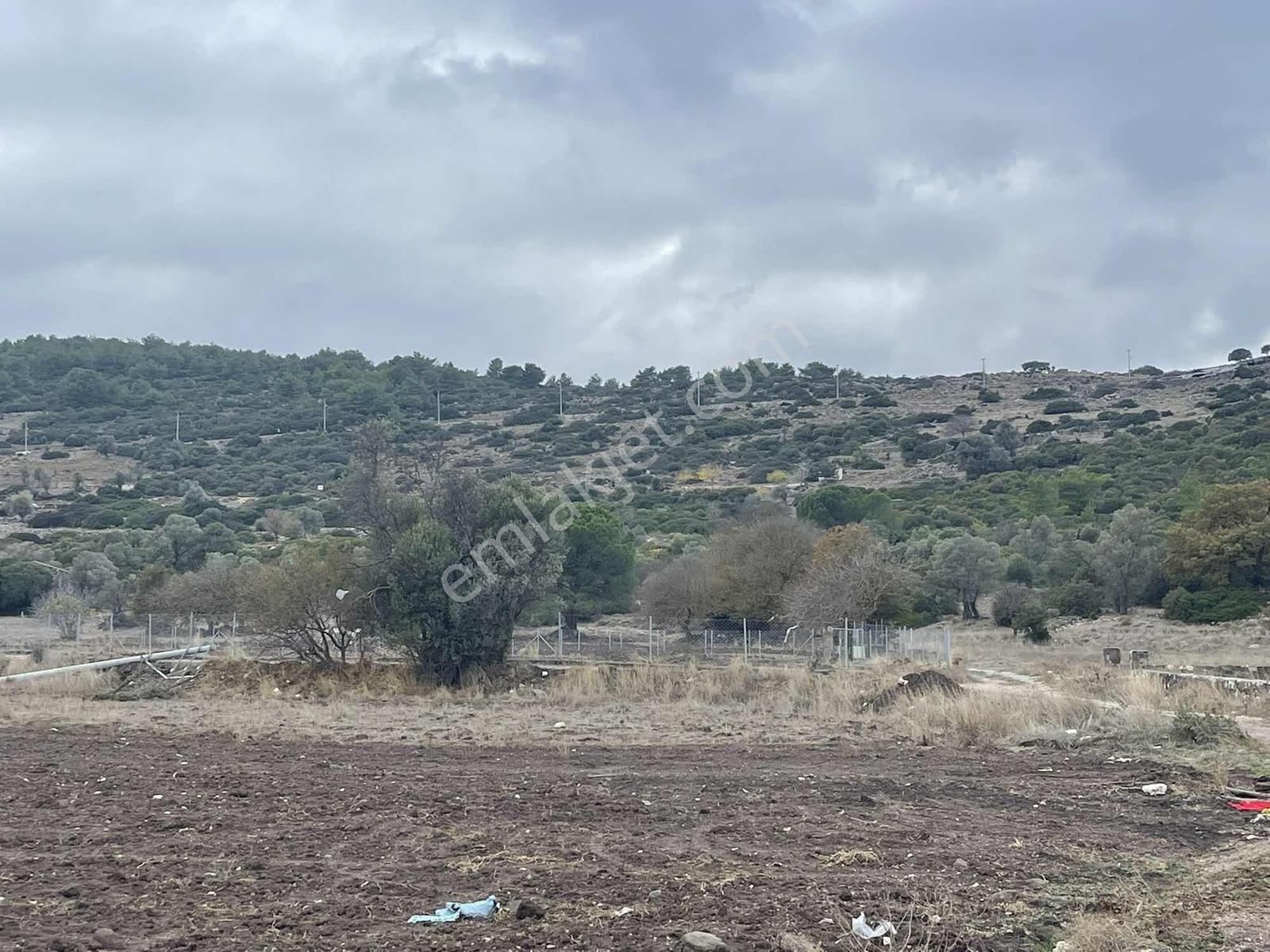10 Urla Kadıovacık Köyünde 8551 M2 Satılık Tarla — fotoğraf 17