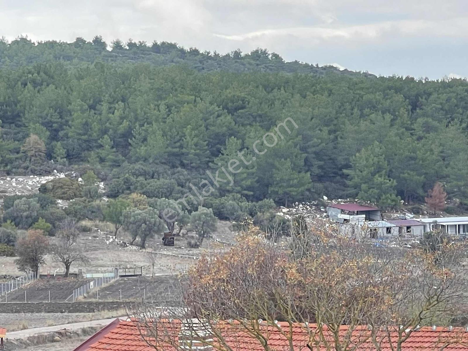 10 Urla Kadıovacık Köyünde 8551 M2 Satılık Tarla — fotoğraf 18