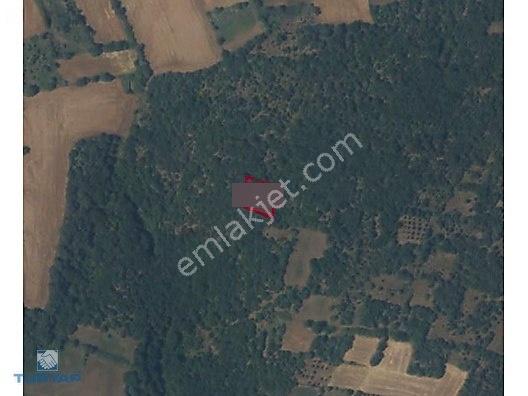Biga Yeniçiftlik Köyünde 1.089 M² Satılık Tarla — fotoğraf 2