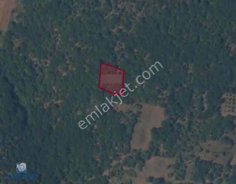 Biga Yeniçiftlik Köyünde 1.089 M² Satılık Tarla — fotoğraf 4