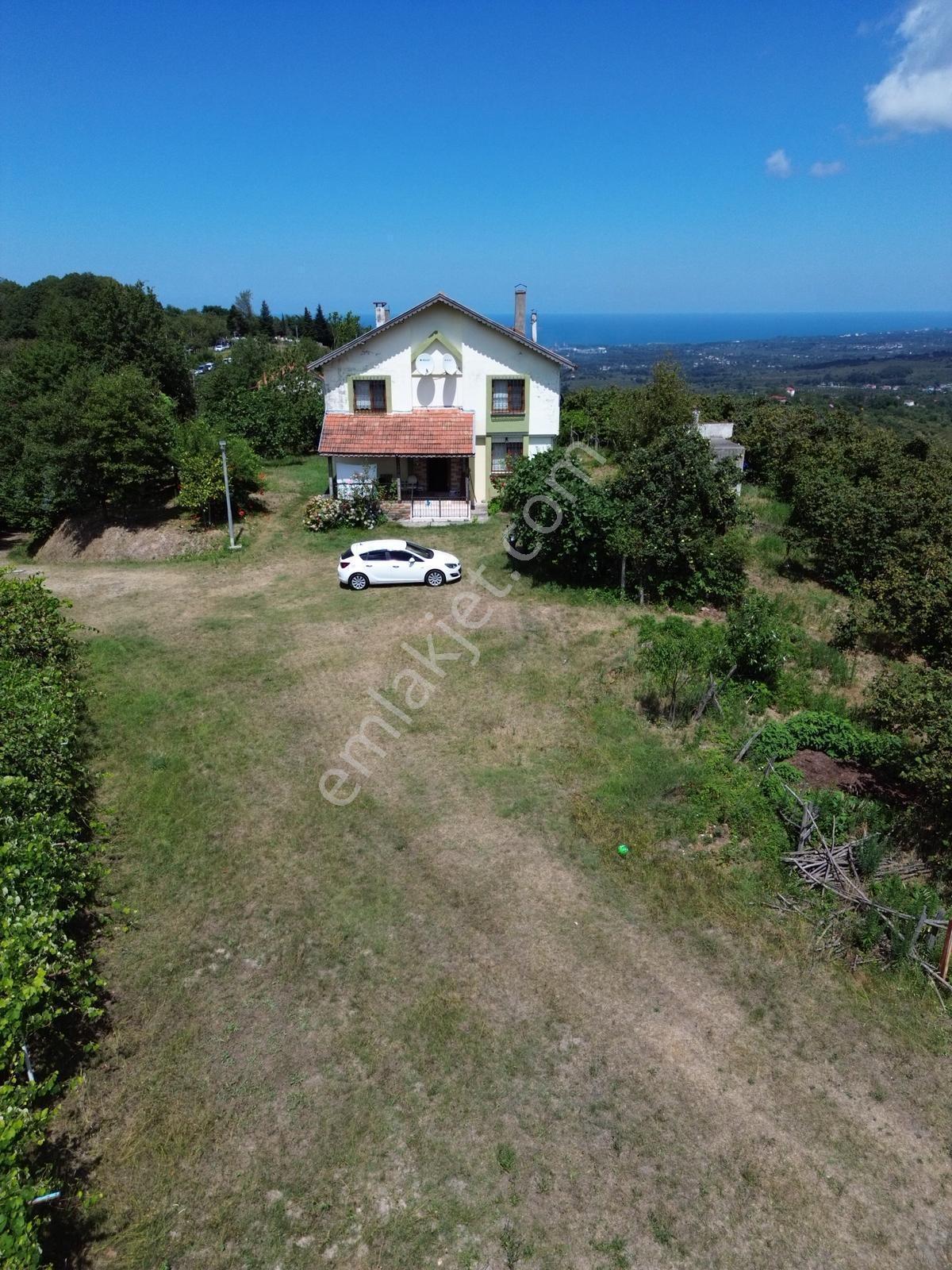 Terme Cılar Mahallesinde Satılık Villa & 35 Dönüm Fındık Bahçesi — fotoğraf 3
