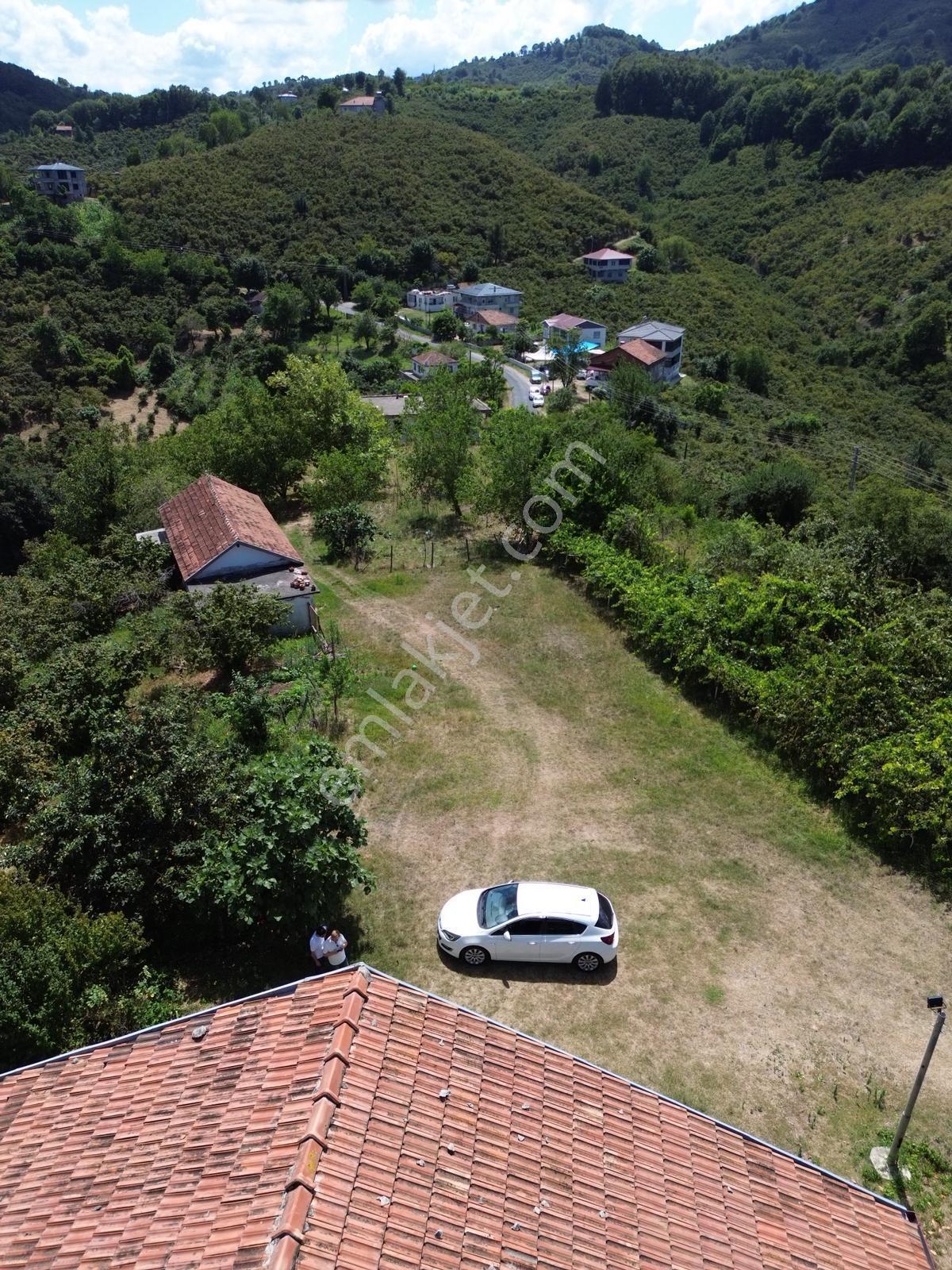 Terme Cılar Mahallesinde Satılık Villa & 35 Dönüm Fındık Bahçesi — fotoğraf 5