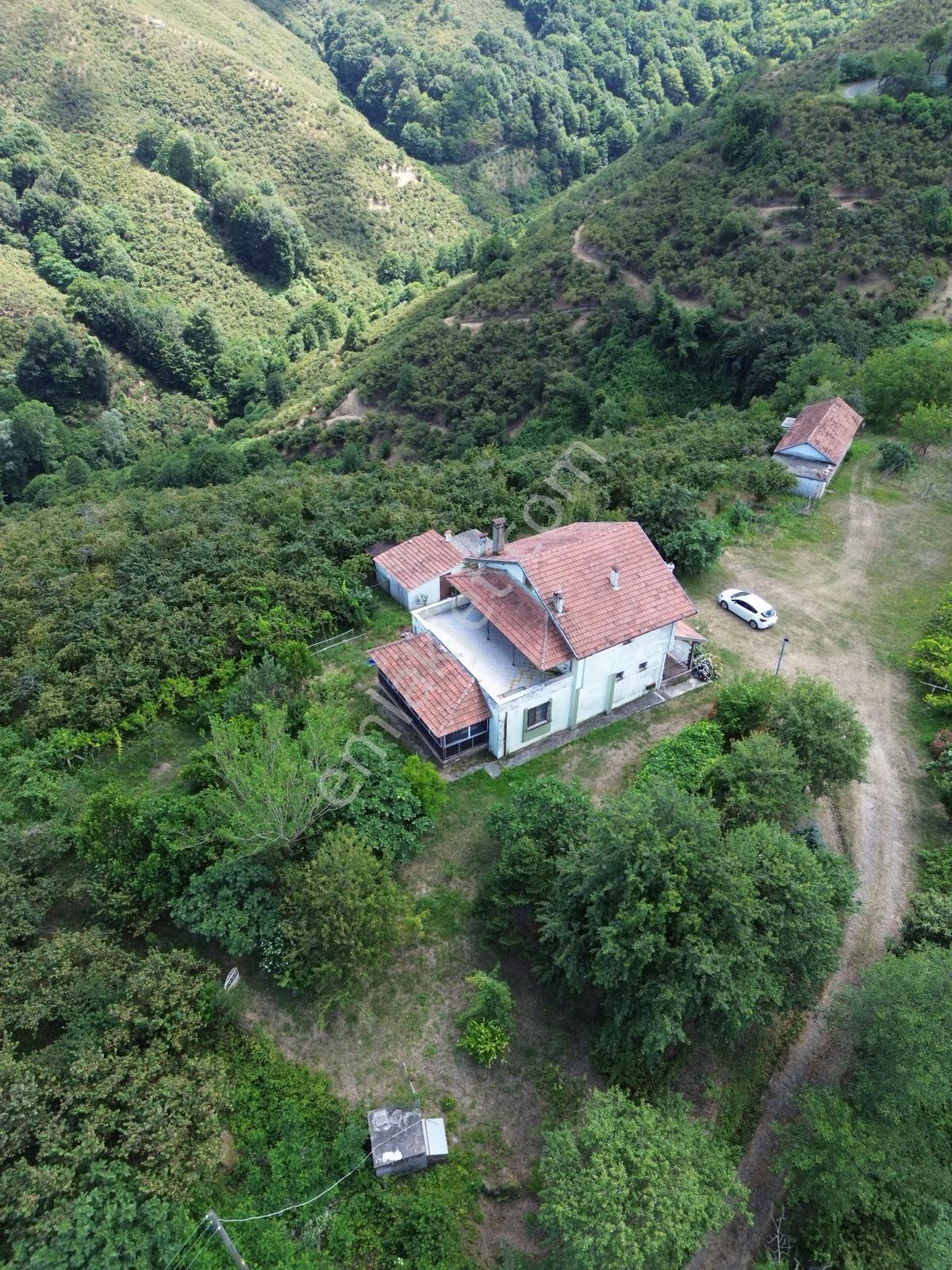 Terme Cılar Mahallesinde Satılık Villa & 35 Dönüm Fındık Bahçesi — fotoğraf 6