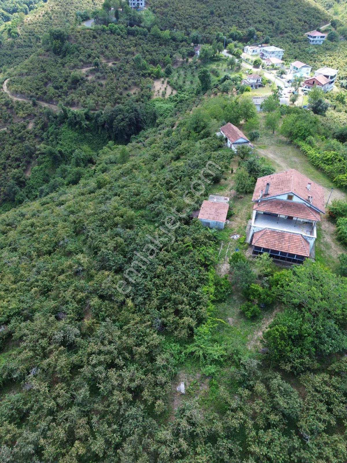 Terme Cılar Mahallesinde Satılık Villa & 35 Dönüm Fındık Bahçesi — fotoğraf 7