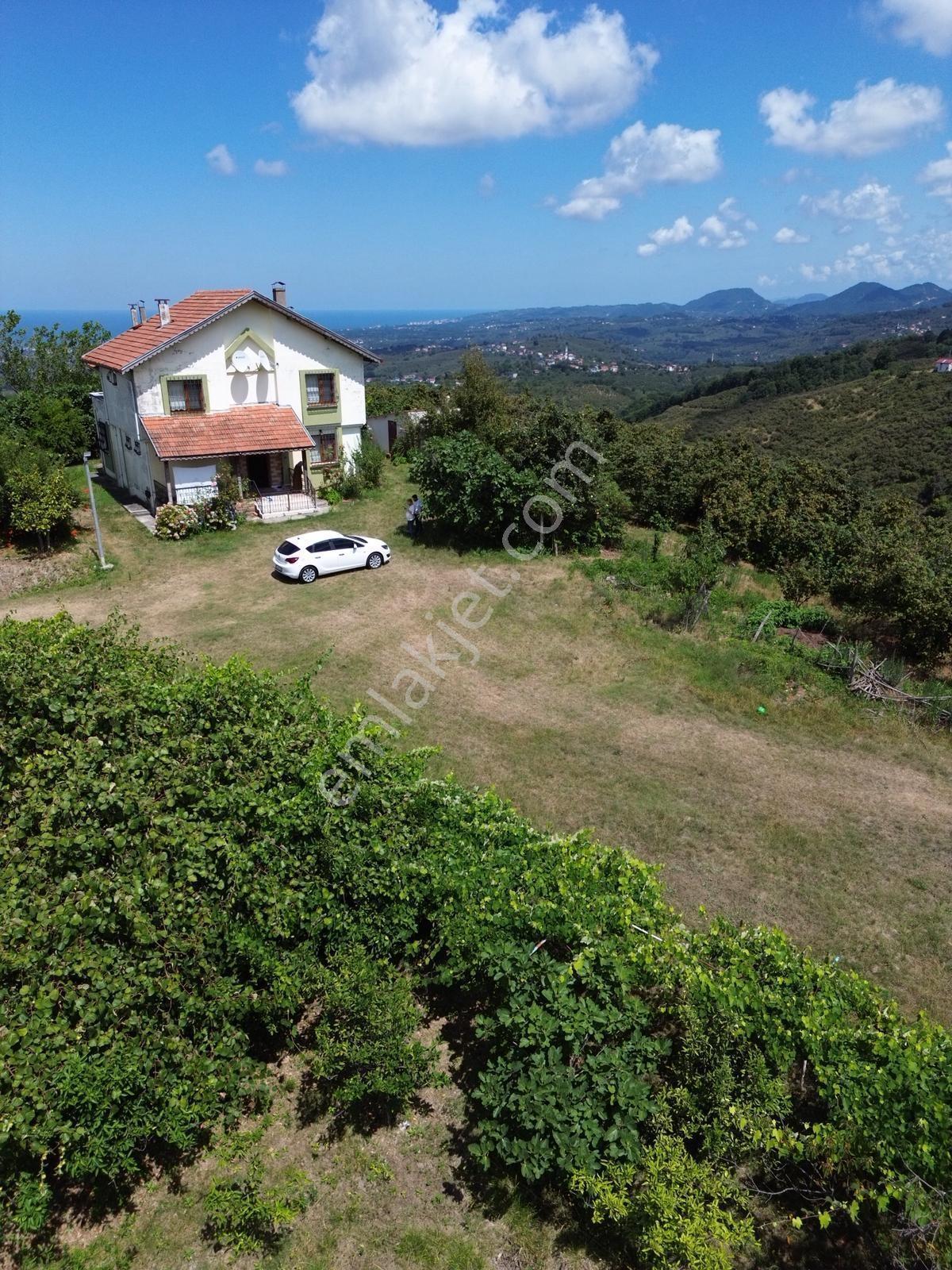 Terme Cılar Mahallesinde Satılık Villa & 35 Dönüm Fındık Bahçesi — fotoğraf 8