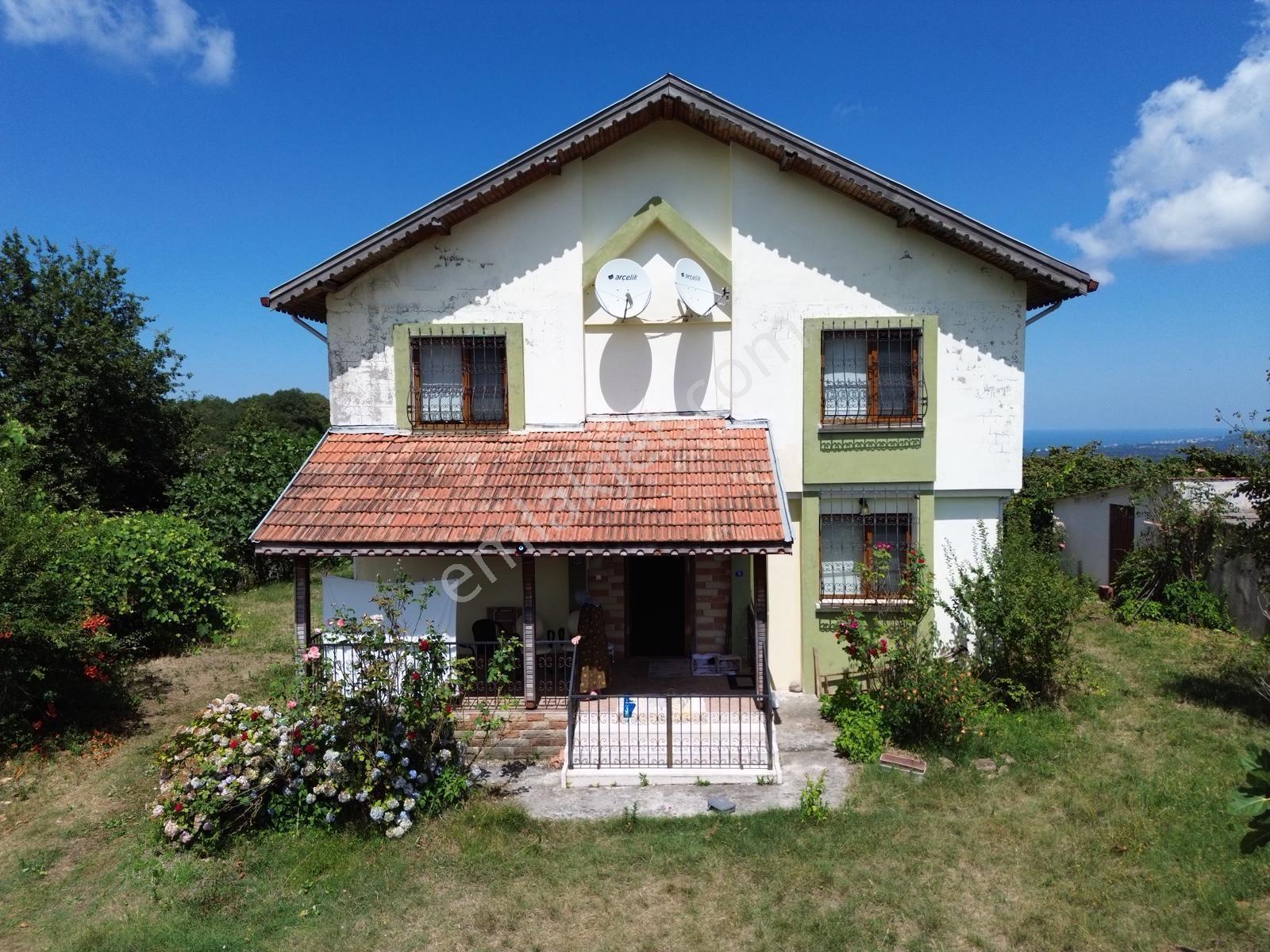Terme Cılar Mahallesinde Satılık Villa & 35 Dönüm Fındık Bahçesi — fotoğraf 12