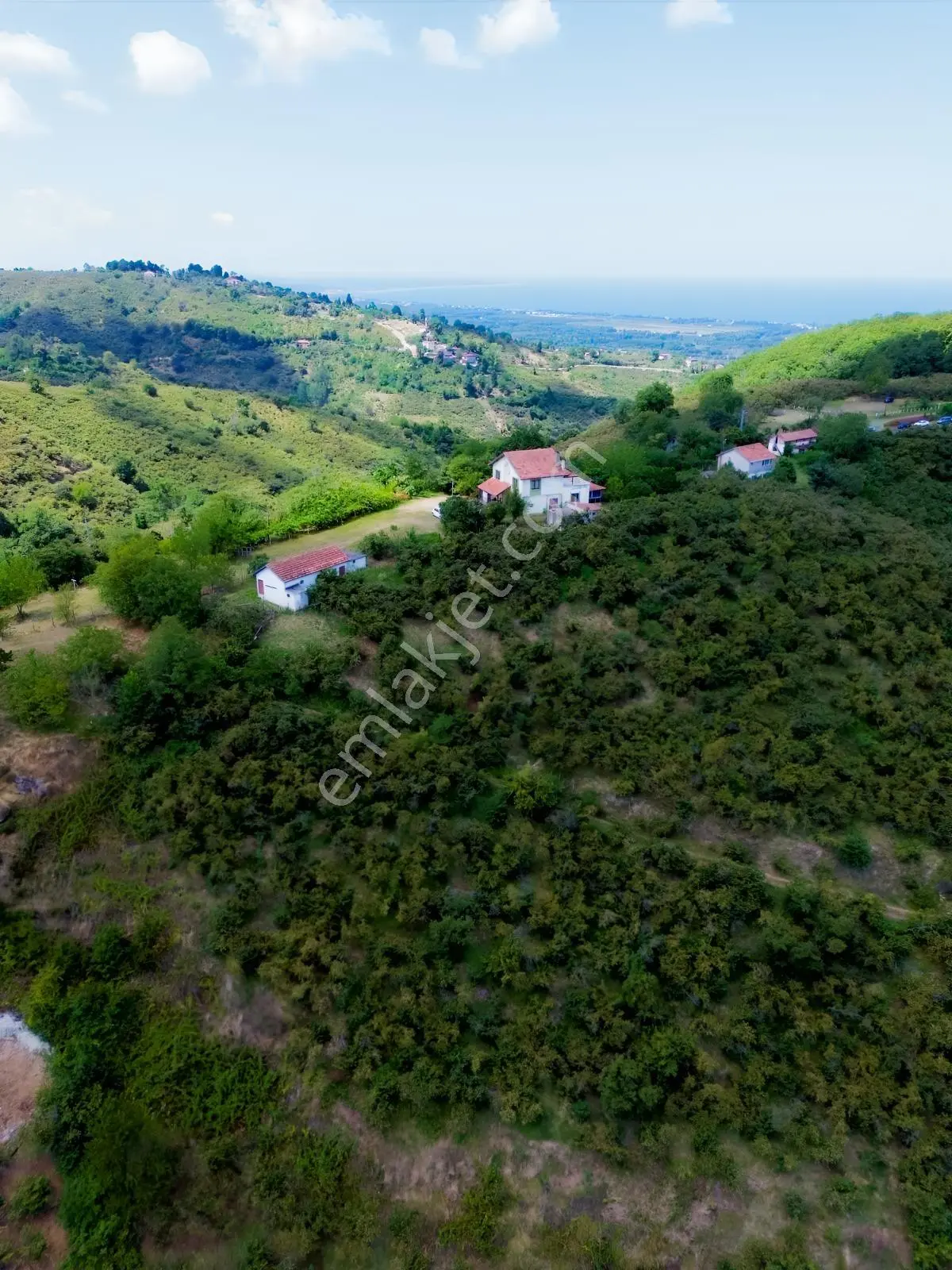 Terme Cılar Mahallesinde Satılık Villa & 35 Dönüm Fındık Bahçesi — fotoğraf 14