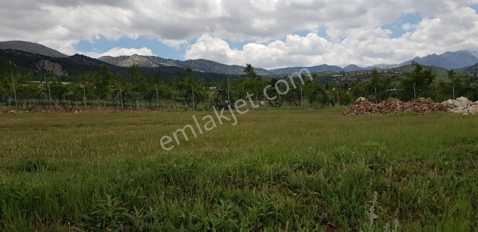 Seydikemer Doğanlarda Yola Köyiçine Yakın 1044M2 Satılık Tarla