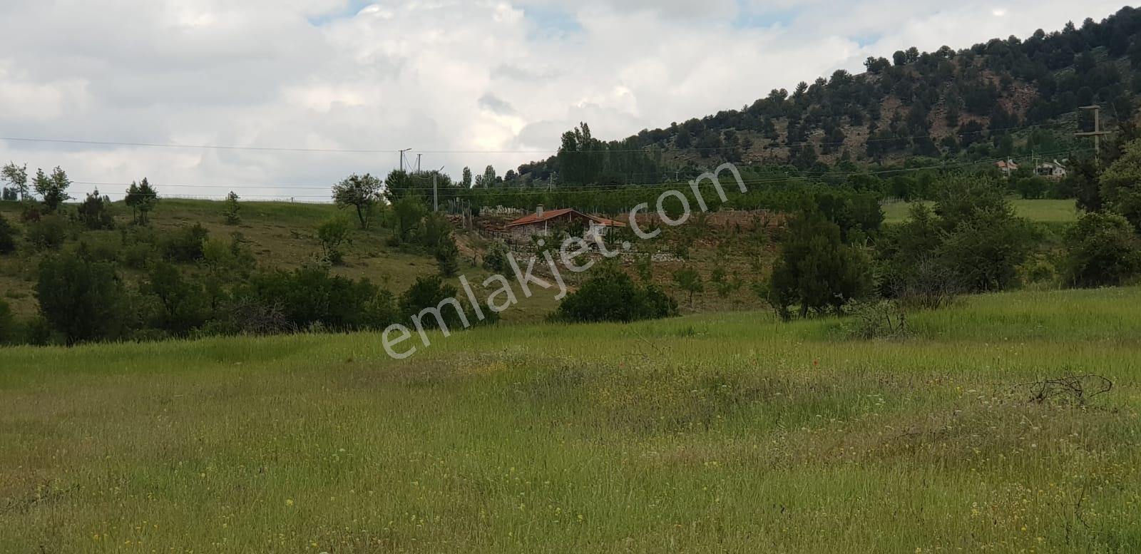 Seydikemer Doğanlarda Yola Köyiçine Yakın 1044m2 Satılık Tarla — fotoğraf 4