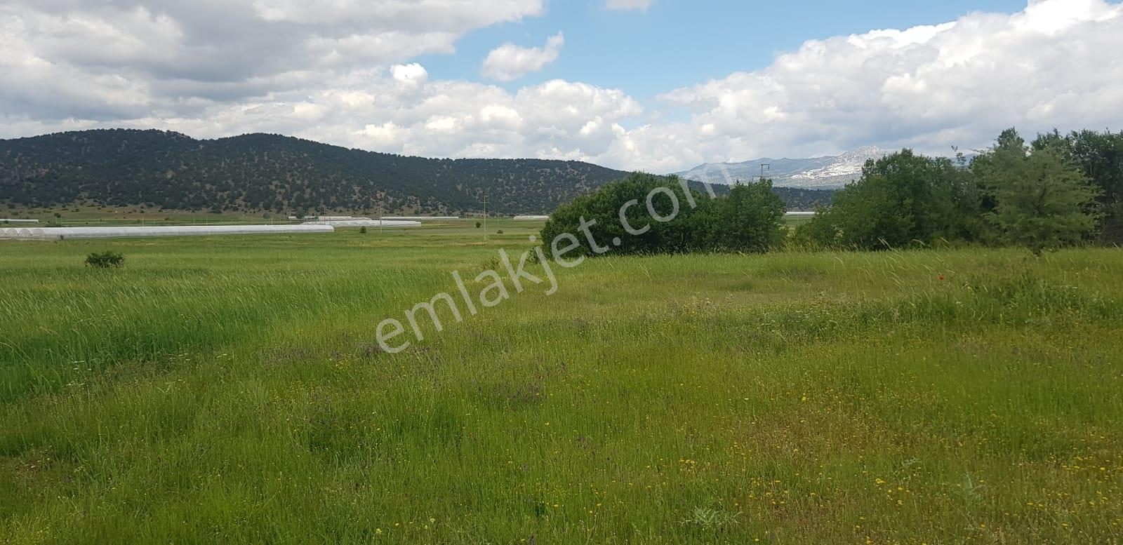 Seydikemer Doğanlarda Yola Köyiçine Yakın 1044m2 Satılık Tarla — fotoğraf 8