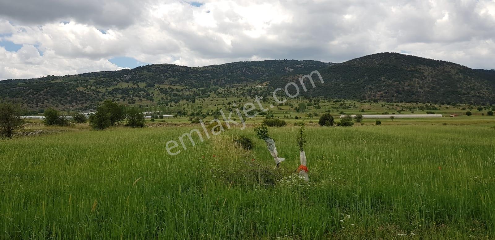 Seydikemer Doğanlarda Yola Köyiçine Yakın 1044m2 Satılık Tarla — fotoğraf 9
