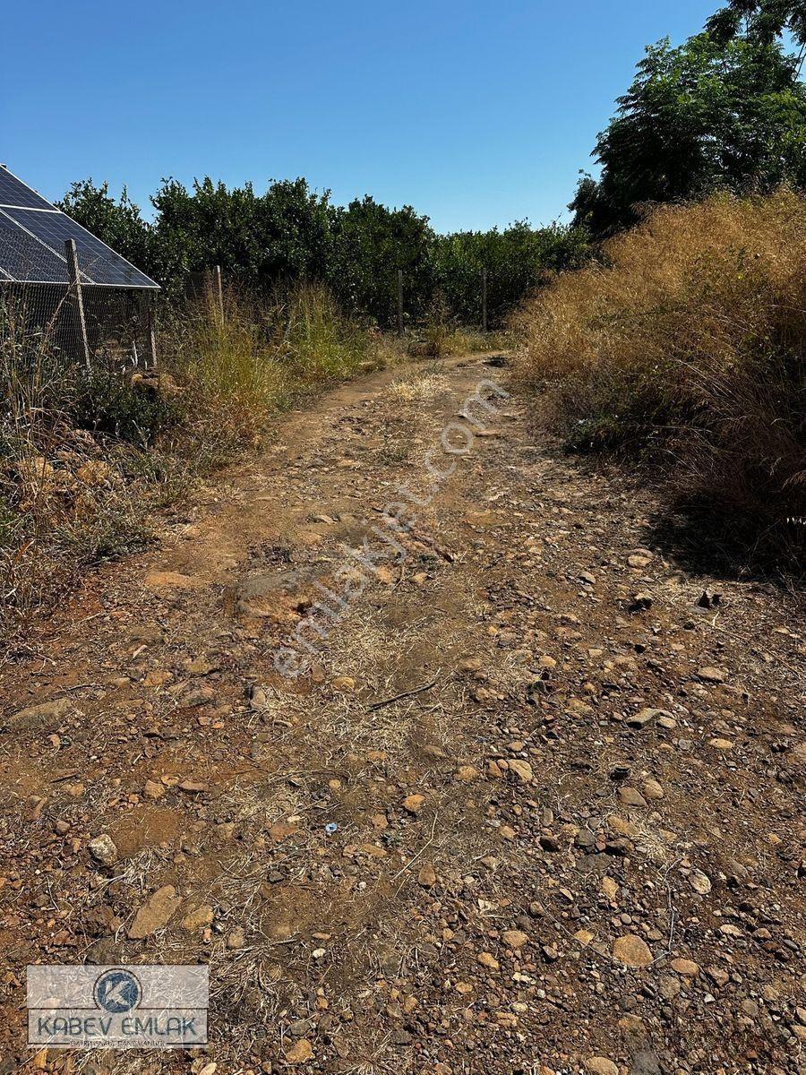 Kabev Emlaktan Satılık 3722 Mt Arsa — fotoğraf 2