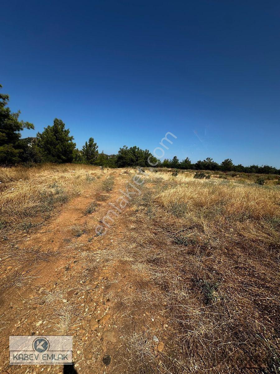 Kabev Emlaktan Satılık 3722 Mt Arsa — fotoğraf 3