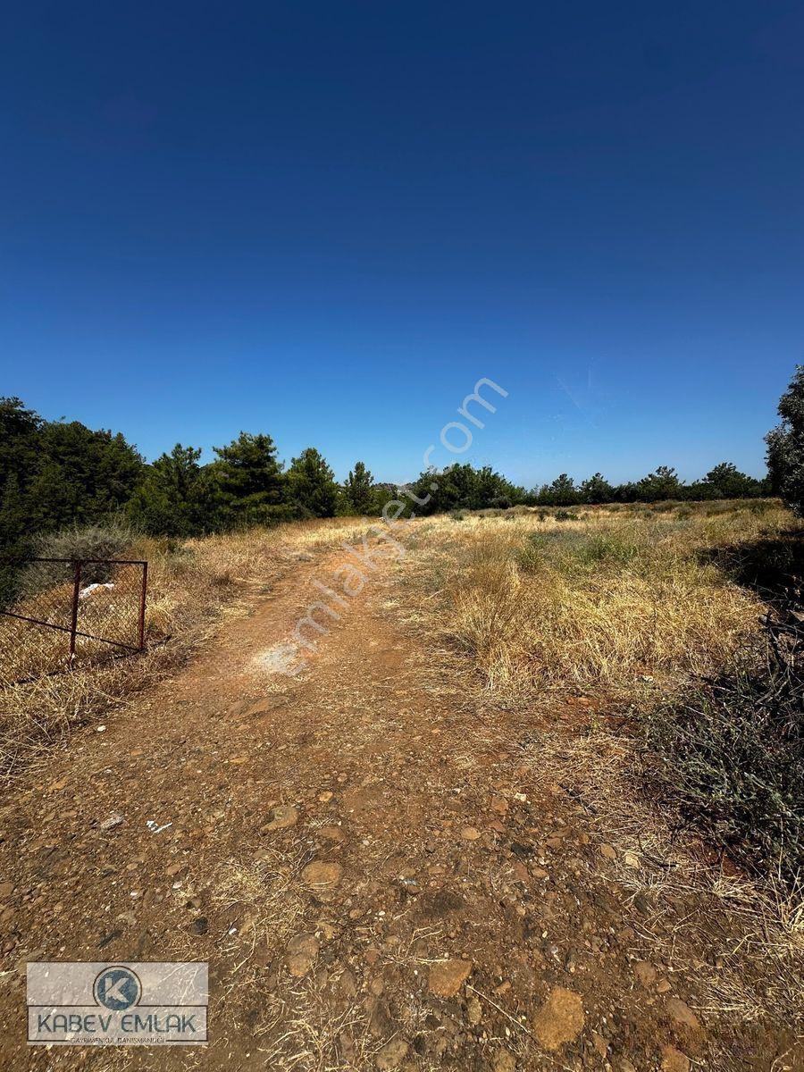 Kabev Emlaktan Satılık 3722 Mt Arsa — fotoğraf 4